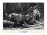 Two Werewolves Howl at the Full Moon