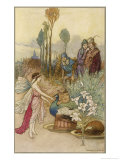 Fairy and a Peacock