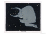 The Constellation of Taurus the Head Neck Shoulders and Forelegs of a Horned Bull