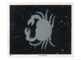 The Constellation of Cancer the Crab