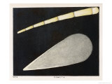 An Illustration of Two Comets