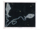 The Constellation of Pisces the Fish