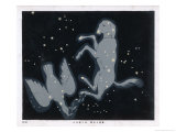 The Constellation of Canis Major  a Large Dog in a Begging Position