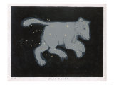 Ursa Major: The Constellation is Composed at First Sight of Seven Conspicuous Stars