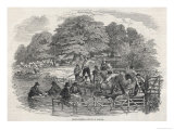 Washing (Or Dipping) Sheep in the River