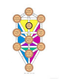 The Tree of Life of the Jewish Caballa