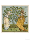 I Had a Little Nut Tree Nothing Would It Bear