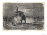 An Intrepid Hunter Takes