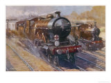 Southern Belle Express