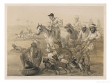 Country Hunt in India
