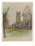 Ely Cathedral Cambridgeshire
