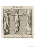 Andromeda Waiting to be Rescued by Perseus