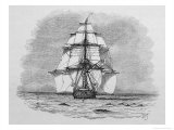 Hms Beagle Among Porpoises Charles Darwin's Research Ship