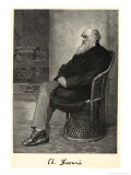 Charles Darwin English Naturalist Sitting in a Chair
