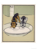 Dog and a Cat Drink Milk from a Large Bowl