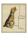 Dog in a Green Collar