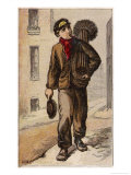 Young Chimney Sweep