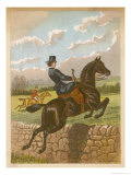 Lady Jumping a Wall Side Saddle on a Brown Horse