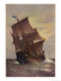 The Mayflower