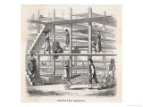 Multi-Level Silkworm Rearing-House or Cocoonery in France