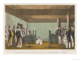 Lord Elgin's Diplomatic Mission to Japan