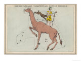 Constellaton Showing Camelopardalis