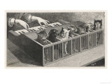 Variations on a Catatonic Scale