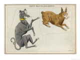 Canis Major (Dog) and Lepus (Hare) Constellation