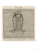 Lyra the Lyre