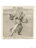 Heniochus