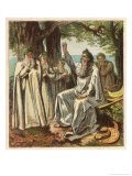 Druid Priests of Ancient Britain in Contemplative Mood in a Forest