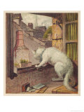 White Cat Contemplates the Outside World Through an Open Window
