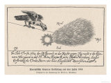 Depiction of a Comet Seen at Nuremberg Every Night Between 14-24 December 1664