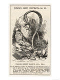 Charles Darwin  after Charting the 