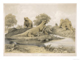 Models of Dinosaurs and Other Species at the Crystal Palace Sydenham