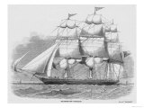 Sailing Clipper
