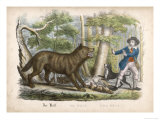 Traveller is Attacked by a Wolf Who Kills One of His Dogs Then Looks Meaningfully at Its Master