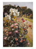Shakespeare's Garden Stratford-On-Avon a Packed Herbaceous Border Leads up to the House