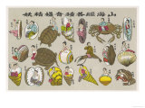 The Buddhist Concept of the Cycle of Re-Birth: The Soul is Born Again as a Shellfish