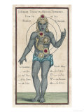 Theosophy Chakras 1696