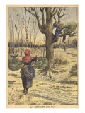 French Countryfolk Harvesting Mistletoe for the Christmas Market