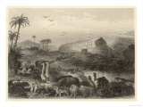 The Animals Enter Noah's Ark