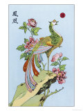 Fong Hoang  The Chinese Phoenix