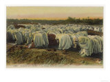 Algerian Moslems Participate in the Great Prayer