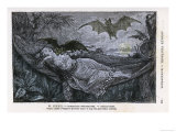 Vampire Bat Bites the Neck of a Sleeping Girl in as Hammock