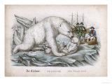 Polar Bear Tends to Her Cubs While a Group of Men