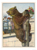 Brown Bear Climbs to the Top of a Pole at the Zoo