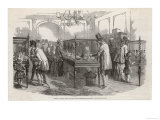 Visitors at the Philo- Peristeron Society's Annual Pigeon Show London
