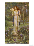 Freyja and the Necklace