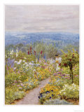 Kentish Garden  a Woman Picks Flowers from Large Herbaceous Borders in a Typical English Garden